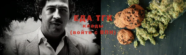 хмурый Няндома