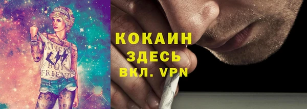 хмурый Няндома