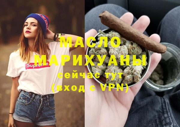 индика Нягань