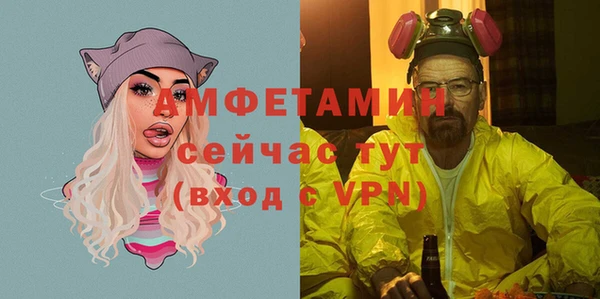 хмурый Няндома