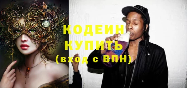 хмурый Няндома