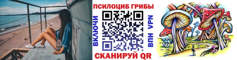 Псилоцибиновые грибы мицелий  дарк нет телеграм  Калач  KRAKEN сайт 